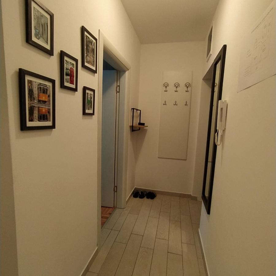 Daniris Apartman Novi Sad Esterno foto
